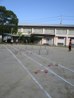 235年生合同体育／ハードル走、小型ハードル走 (8)