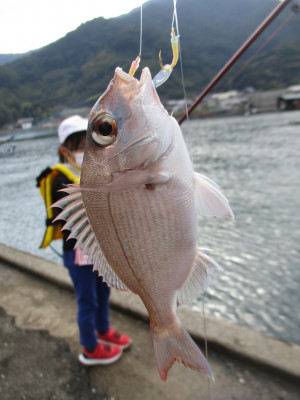 魚釣り (42)