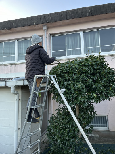 植木の選定／菊地さん (8)