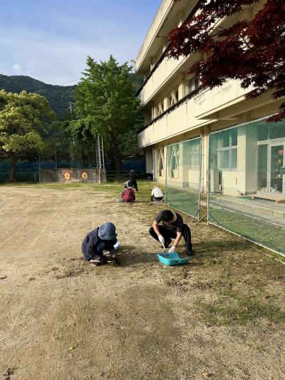 奉仕作業 (3)
