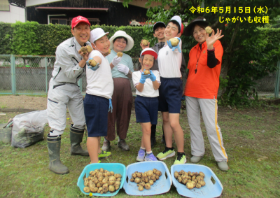 240515_ジャガイモ収穫